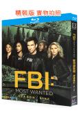 聯邦調查局:通緝要犯 第五季(2024)(2BD)(25G藍光)