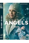 凡間天使/普通天使(2024)(希拉裏·斯萬克)(高清獨家版)