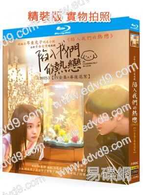 陷入我們的熱戀(2025)(劉浩存 王安宇)(3BD)(25G藍光)