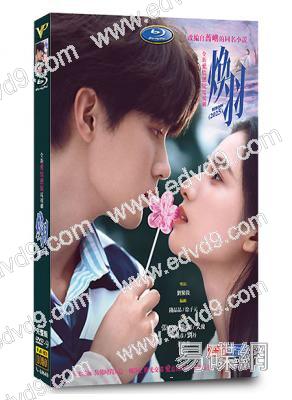 煥羽(2025)(張婧儀 周翊然)(高清5片裝)