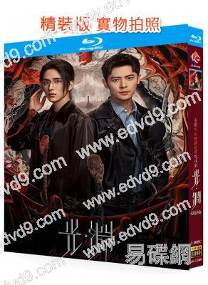 (懸疑探案劇)光淵(2025)(張新成 付辛博)(2BD)(25G藍光)