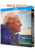 大衛·愛登堡:海洋(2025)(紀錄片)(25G藍光)