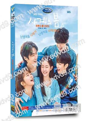 青春之春/四季之春(2025)(何有俊 樸持厚)(高清4片裝)