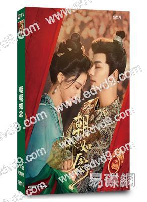 朝朝如念(2025)(何宣林 張庭睿)(4片裝)(高清獨家版)