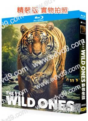 野性生靈(2025)(紀錄片)(2BD)(25G藍光)