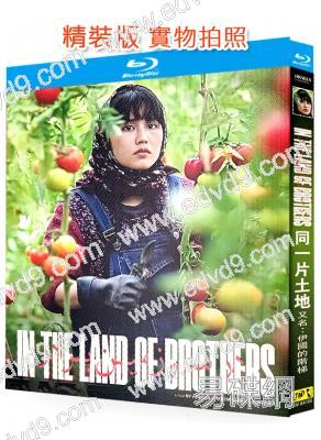 同一片土地/兄妹之地(2025)(台灣院線電影)(25G藍光)