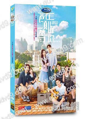 我在頂峰等你(2025)(孫珍妮 陳靖可)(高清5片裝)