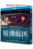 暗潮緝兇(2025)(陳建斌 陳若軒)(2BD)(25G藍光...