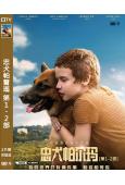 忠犬帕爾瑪[第1-2部](2021-2025)(溫情喜劇)(...