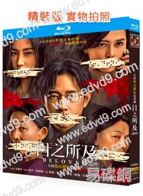 目之所及(2025)(羅晉 王子文)(2BD)(25G藍光)