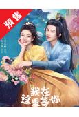 (預售10.16)我在這裏等你(2025)(李歌洋 朱麗嵐)...