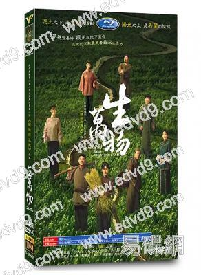 生萬物(2025)(楊幂 歐豪)(年代劇)(高清6片裝)