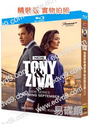 海軍罪案調查處:歐洲喋血篇(2025)(2BD)(25G藍光)