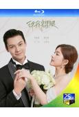 許我耀眼(2025)(趙露思 陳偉霆)(3BD)(25G藍光)