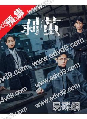 (預售26.01.20)剝繭(2025)(羅雲熙 劉雅瑟)(高清5片裝)