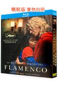 弗拉明戈的神秘眼神(2025)(代表智利角逐奧斯卡)(25G...