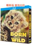 生而狂野(2025)(紀錄片)(2BD)(25G藍光)