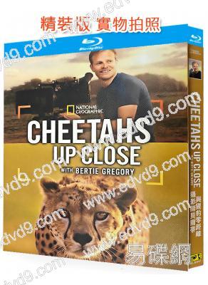 攝影師貝爾蒂與獵豹零距離(2025)(紀錄片)(25G藍光)