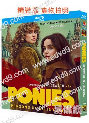 凡婦俗女:無關緊要之人(2025)(<權力的游戲>女主角)(2BD)(25G藍光)