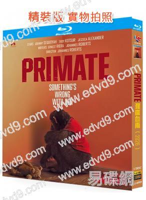 猩瘋血雨(2025)(驚悚片)(台灣正上映)(25G藍光)