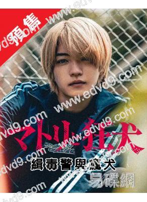 (預售03.28)緝毒警與瘋犬(2026)(西畑大吾 向井理)(4片裝)(高清獨家版)