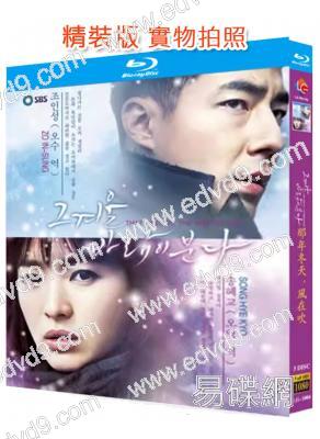 那年冬天,風在吹(2013)(趙寅成 宋慧喬)(3BD)(25G藍光精裝版)