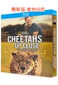 攝影師貝爾蒂與獵豹零距離(2025)(紀錄片)(25G藍光)