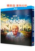 狂野倫敦(2026)(大衛·愛登堡)(BBC紀錄片)(25G藍光)
