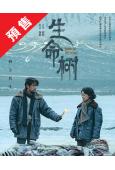 (預售02.26)生命樹(2026)(楊紫 胡歌)(高清8片裝)