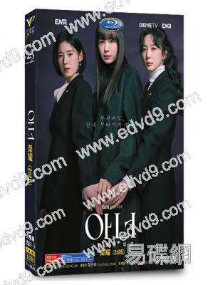 榮耀:她們的法庭(2026)(李奈映 鄭恩彩)(高清4片裝)