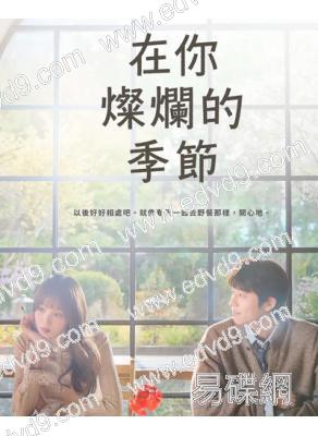 在你的燦爛季節(2026)(李聖經 蔡鐘協)(高清5片裝)