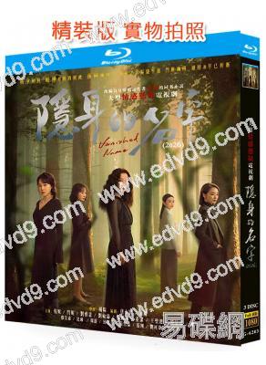 隱身的名字(2026)(倪妮 閆妮)(懸疑劇)(3BD)(25G藍光)