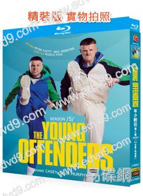 年少輕狂/少年犯 第五季(2026)(2BD)(25G藍光精裝版)