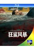 狂鯊風暴(2025)(驚悚片)(25G藍光)