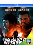 暗夜殺局/獵局反轉(2026)(犯罪動作片)(25G藍光)(台灣熱播)