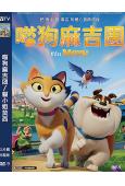 (台配國語)喵狗麻吉团/貓小姐莫西(2026)(合家歡動漫)...