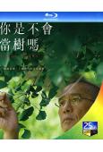 你是不會當樹嗎/寂靜的朋友(2025)(梁朝偉)(台灣正上映)(25G藍光)