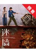 (預售06.20)迷牆(2026)(郭京飛 任素汐)(高清5片裝)