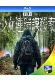 少女連環謀殺案殺手/石溪殺手(2026)(探案劇情片)(25G藍光)