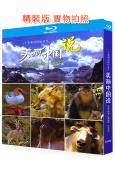 美麗中國說(2021)(紀錄片)(2BD)(25G藍光精裝版...