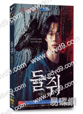 鼠惑(2026)(柳俊烈 薛景求)(犯罪懸疑劇)(高清4片裝)