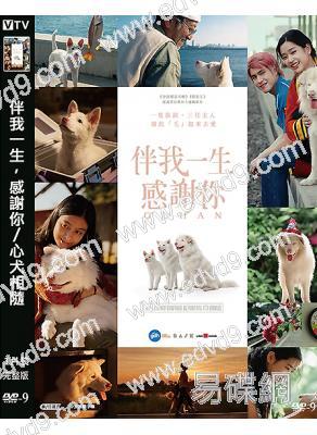 伴我一生,感謝你/心犬相隨(2026)(台灣院線電影)(高清獨家版)
