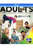 成年人(1-2季)(2025-26)(青春喜劇)(3BD)(25G藍光精裝版)