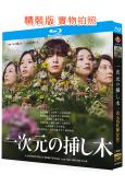 繡球花之下/一次元的扦插(2026)(山田涼介 白石聖)(2BD)(25G藍光)