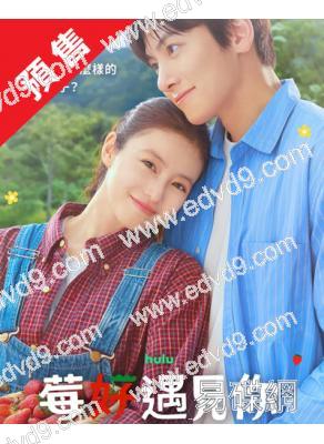 (預售11.19)莓好遇見你/愛上草莓的季節(2026)(池昌旭 今田美櫻)(高清4片裝)