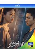 (預售11.07)把黑夜點燃(2026)(蔣欣 陳哲遠)(2...